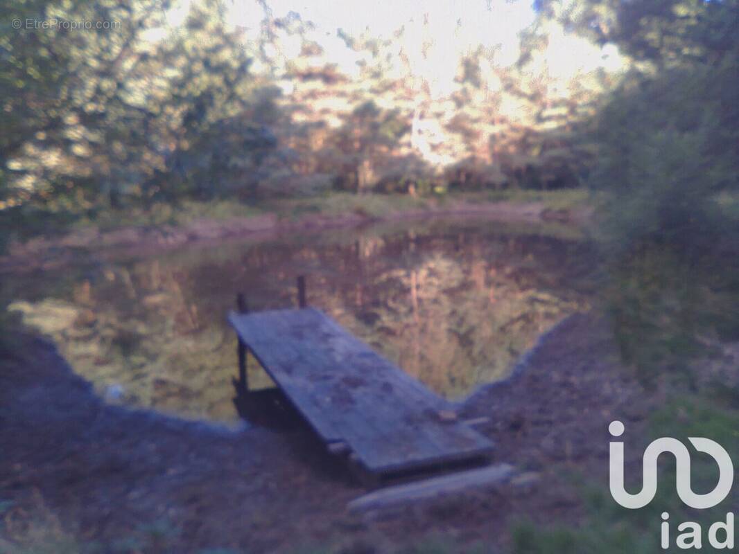 Photo 1 - Terrain à BAUGE