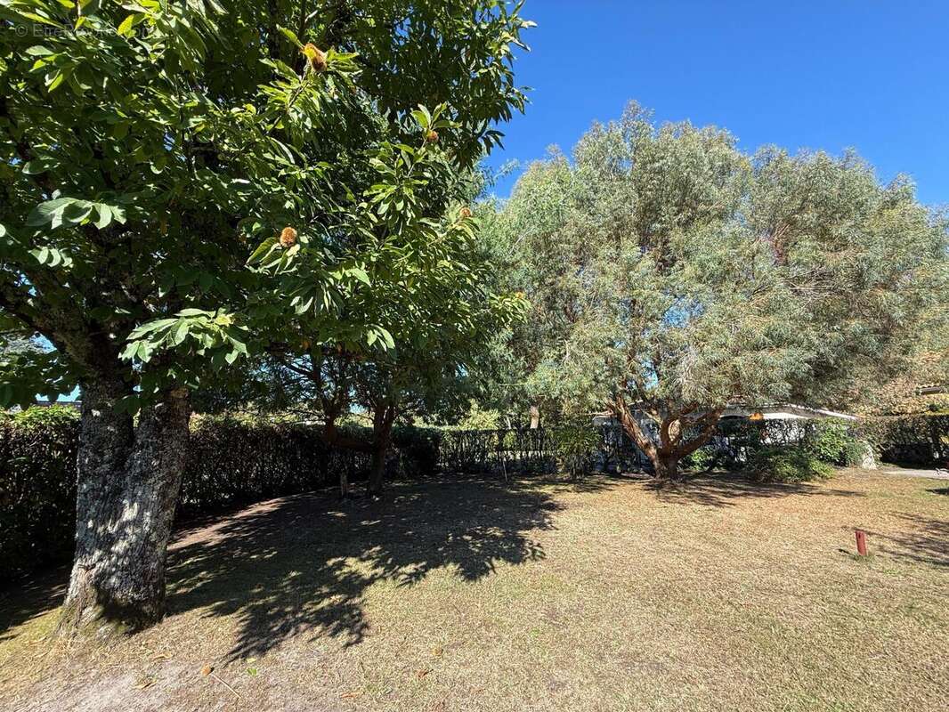 Photo 3 - Maison à LANTON