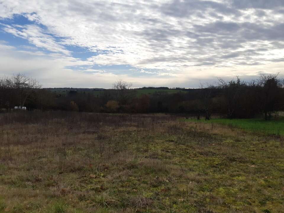 Terrain à MONTASTRUC-LA-CONSEILLERE
