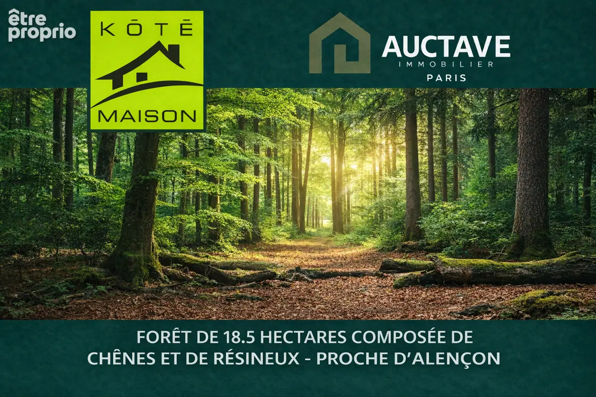 Photo Terrain à Le Mans au prix de 228 000€
