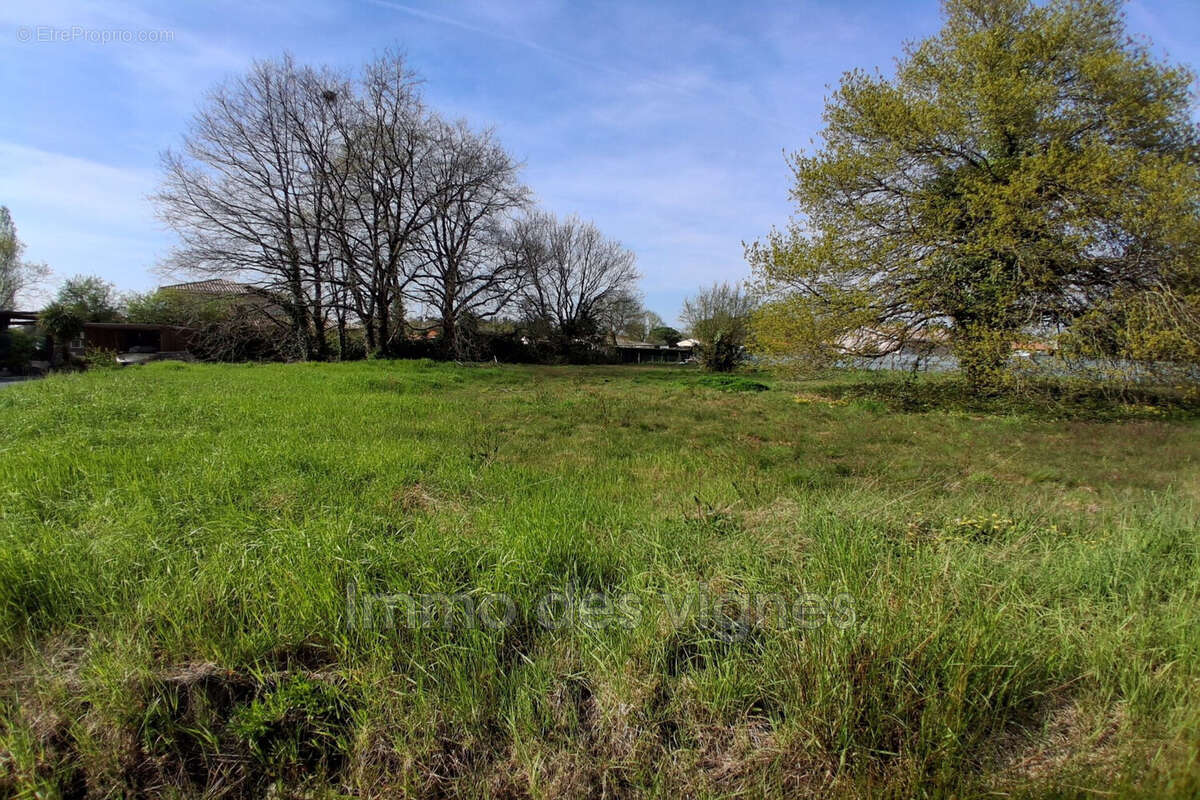 Terrain à AMBARES-ET-LAGRAVE