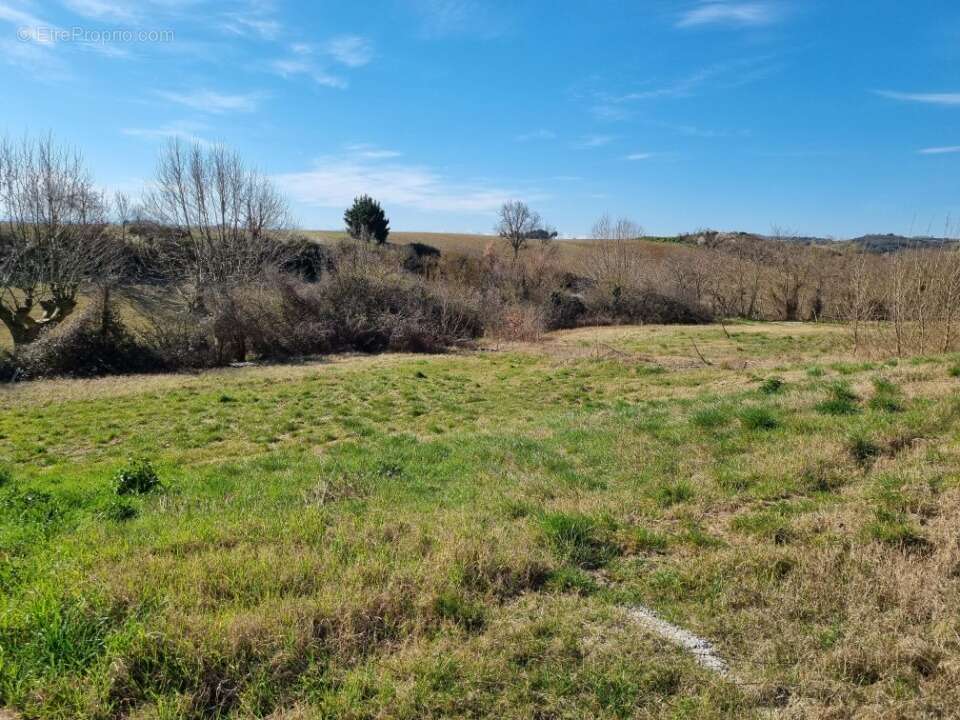Terrain à LASSERRE-DE-PROUILLE