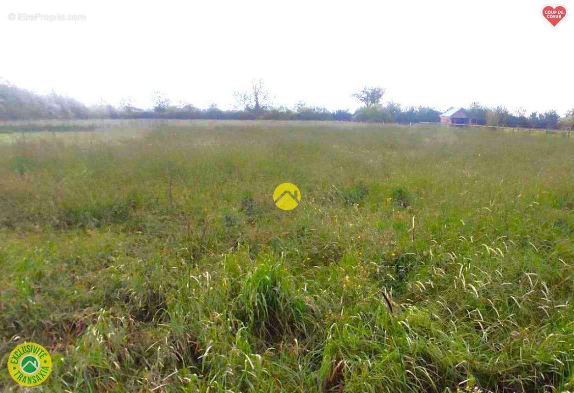 Terrain à LE MONTET