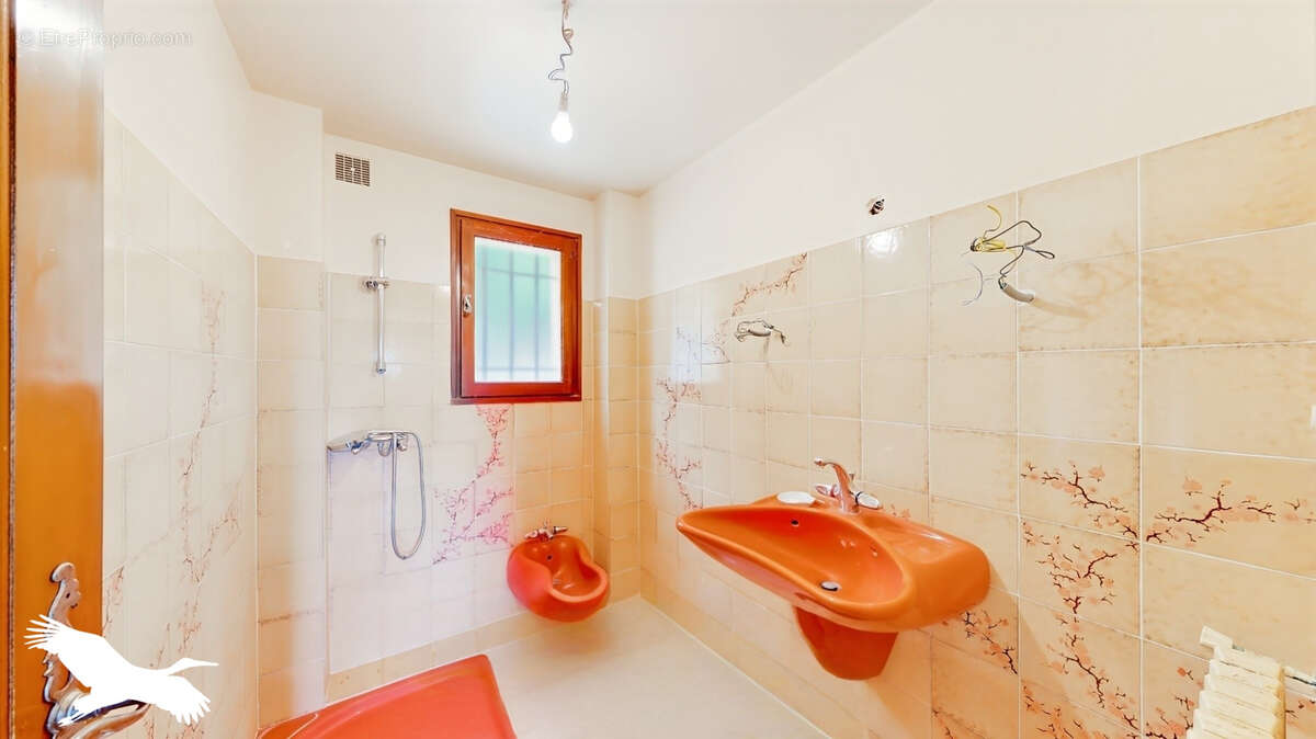 Maison à LA BASTIDE-DES-JOURDANS