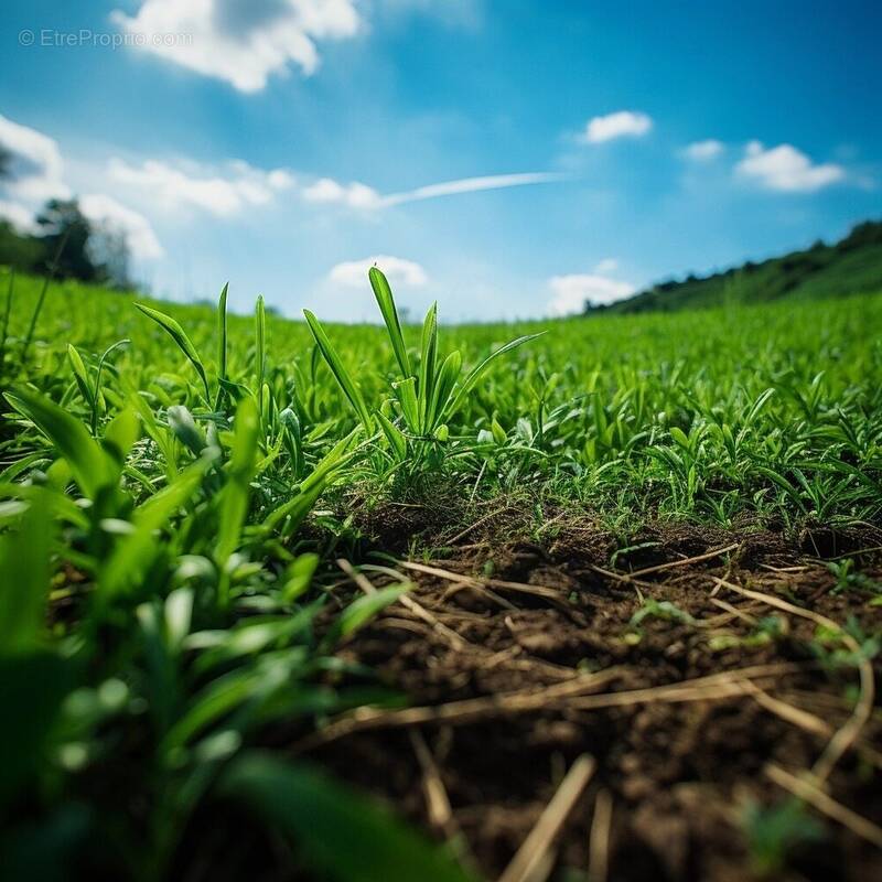 Terrain à LARCHE