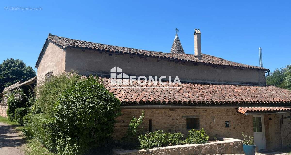 Maison à PAMPELONNE