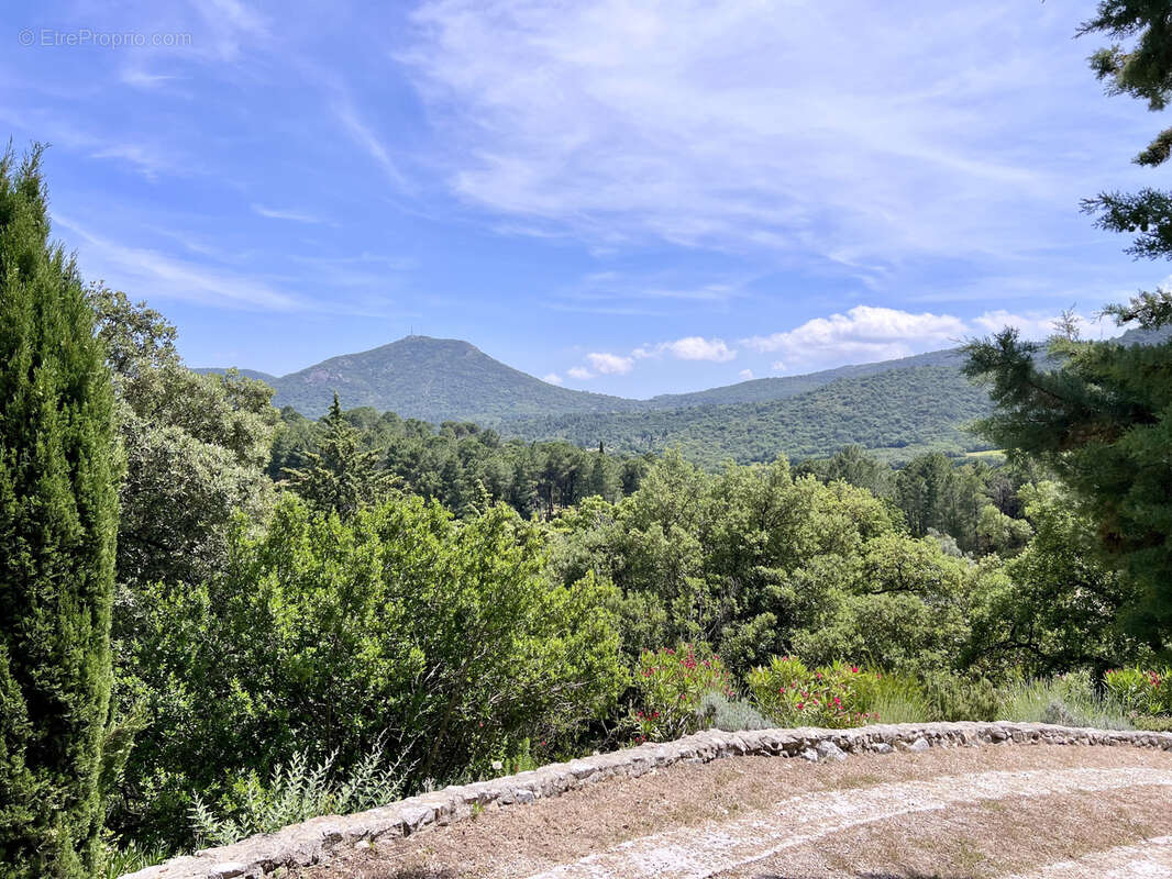 Maison à PLAN-DE-LA-TOUR