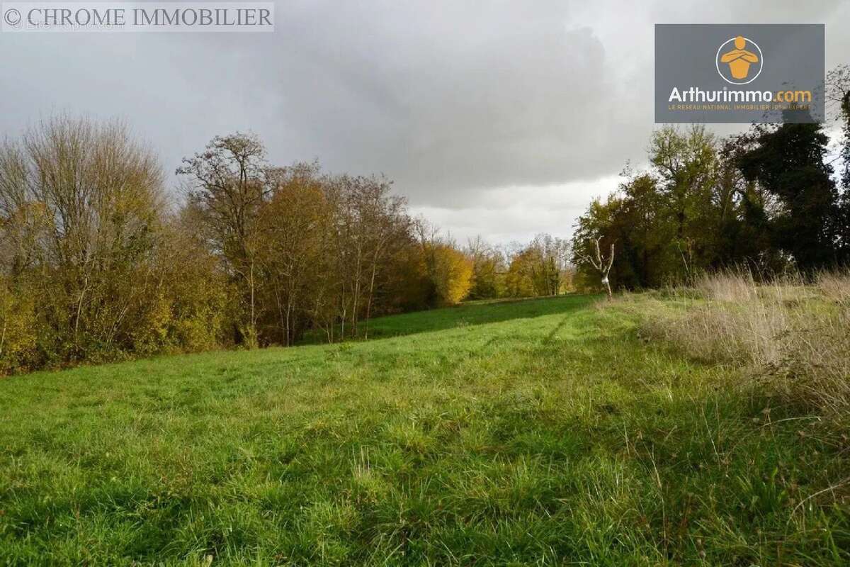 Terrain à ALLEMANS-DU-DROPT