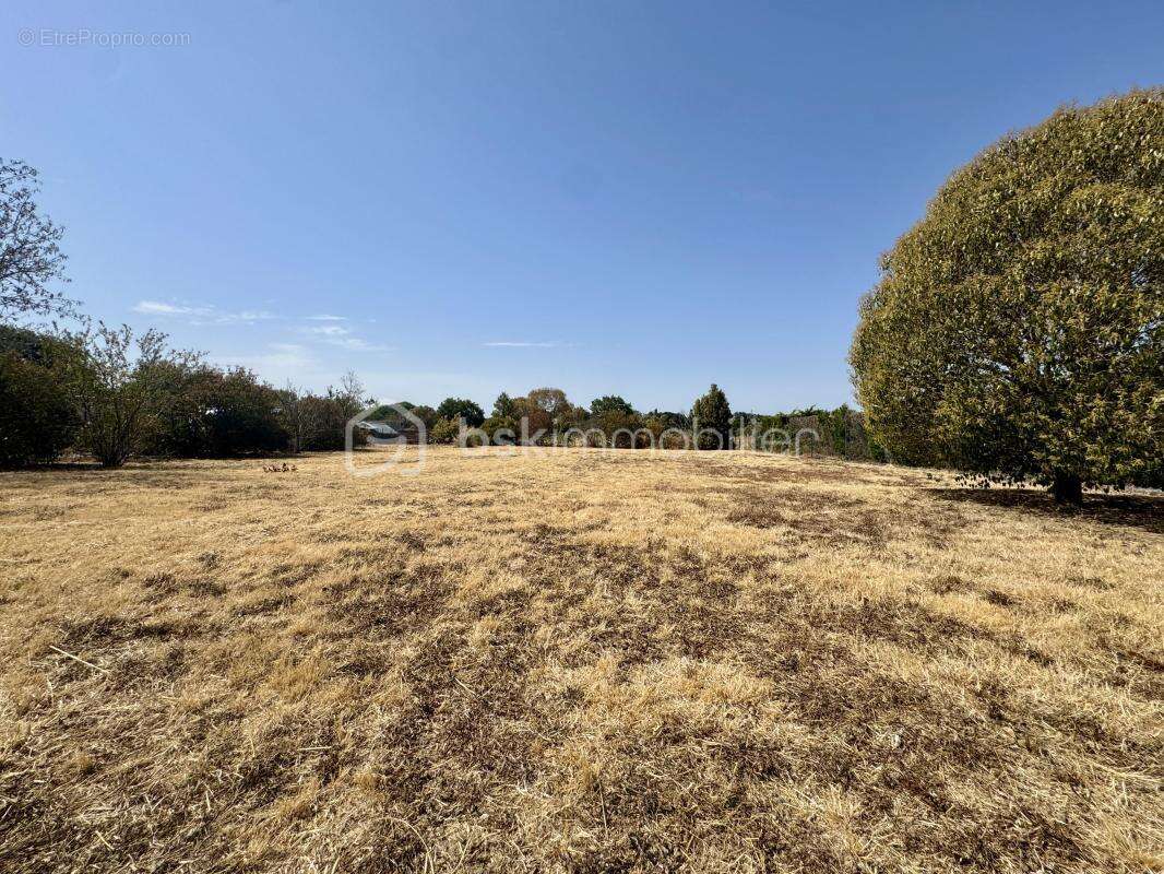 Plain-pied 3 chambres avec garage, piscine et grand terrain - photo 8