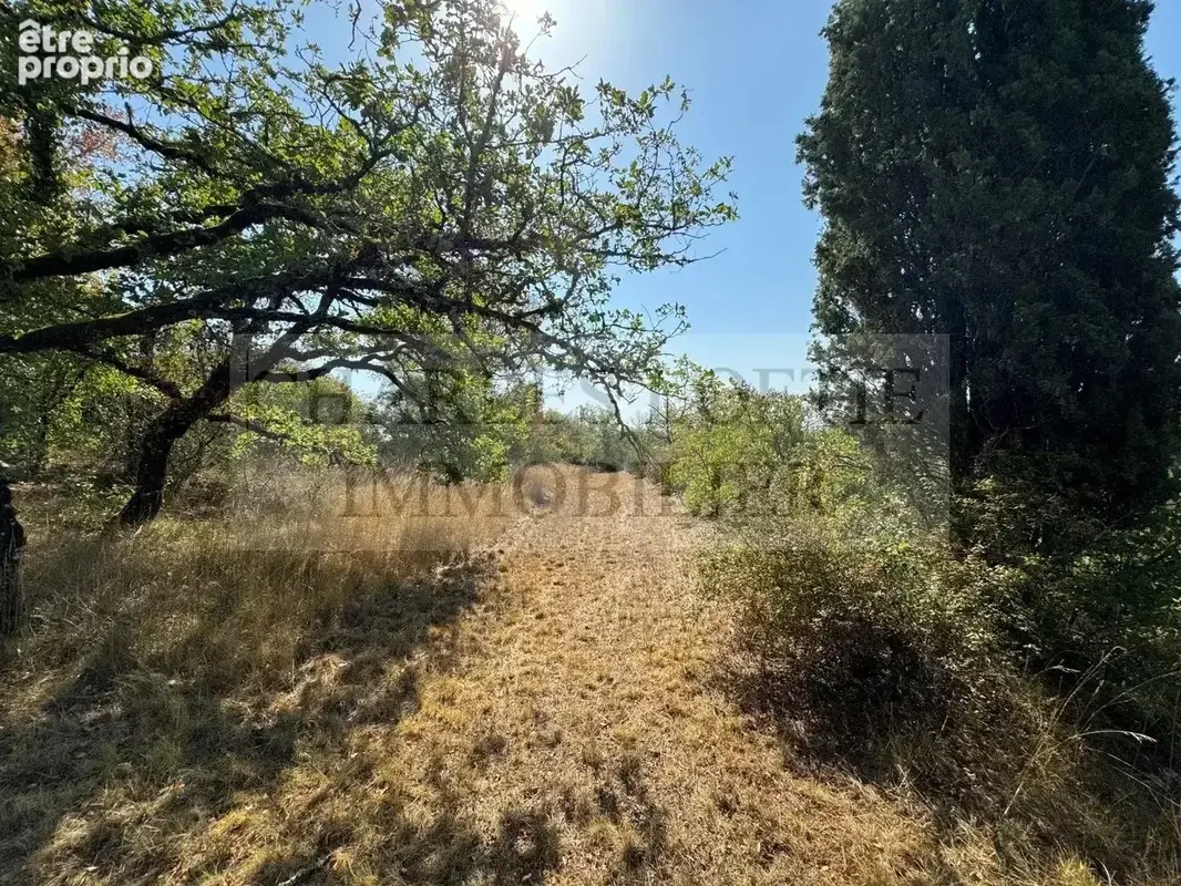 Authentique propriété en pierre avec piscine et dépendances sur 36 hectares, nichée sur les hauteurs de Cahors - photo 29