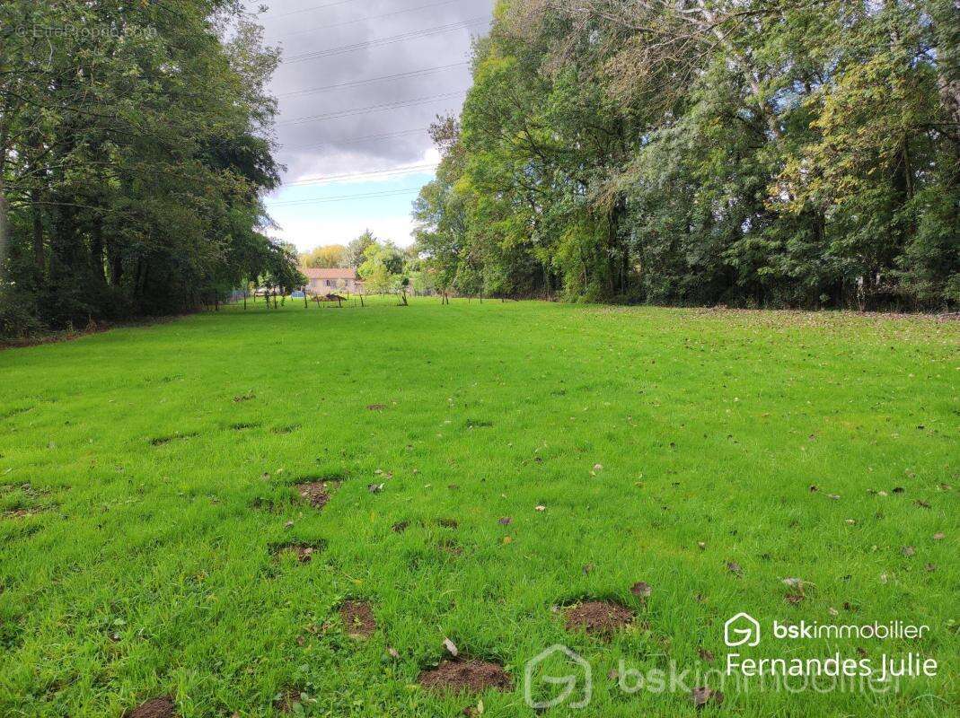 Terrain à LA CHAPELLE-DE-GUINCHAY