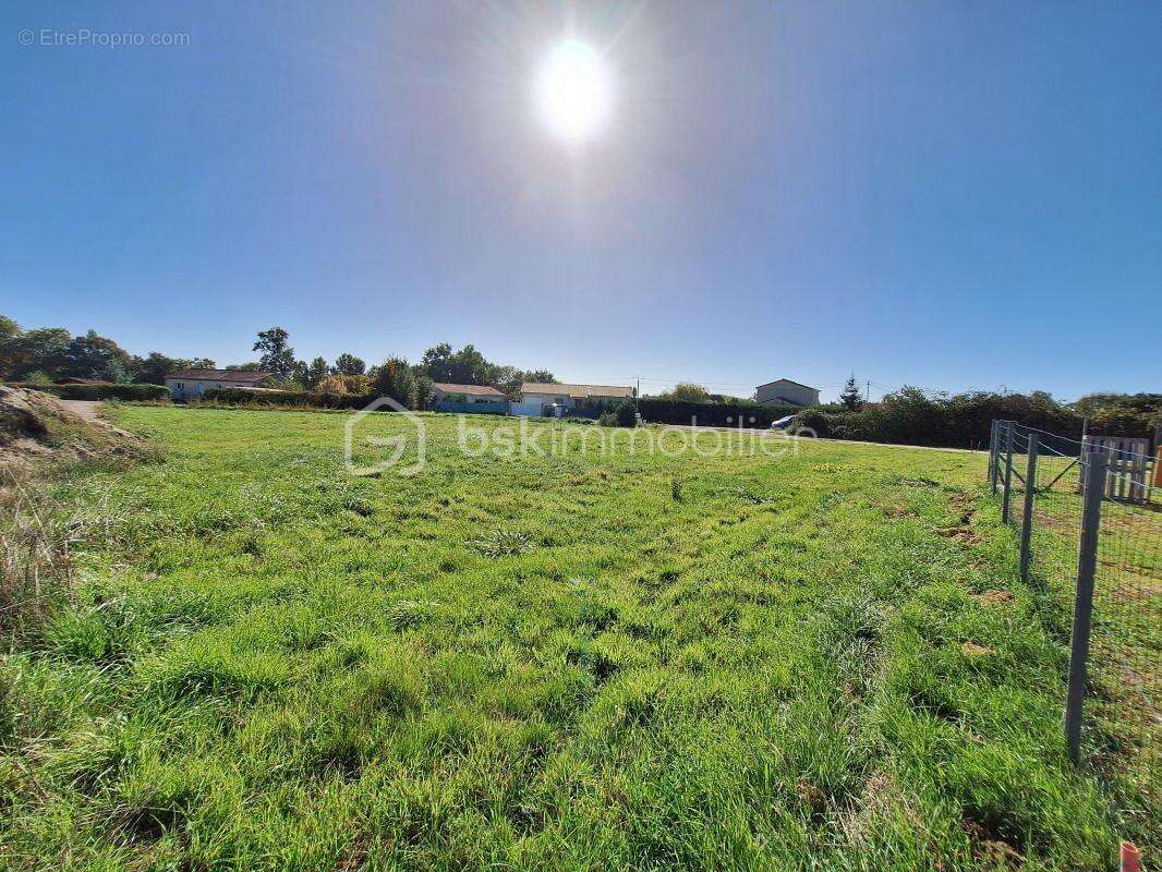 Terrain à SAINT-CHRISTOLY-DE-BLAYE