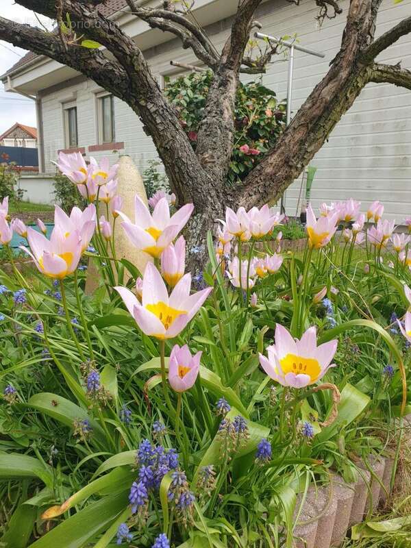 Photo 9 - Maison à ROUEN