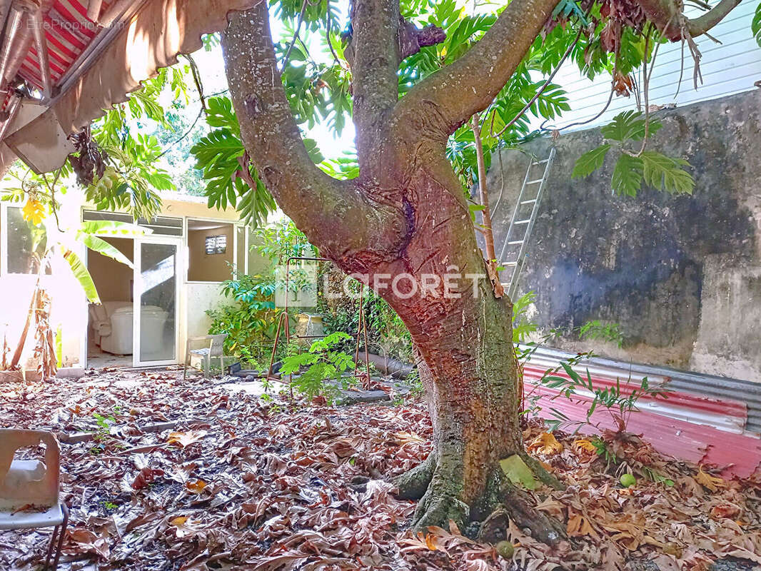 Maison à PORT-LOUIS