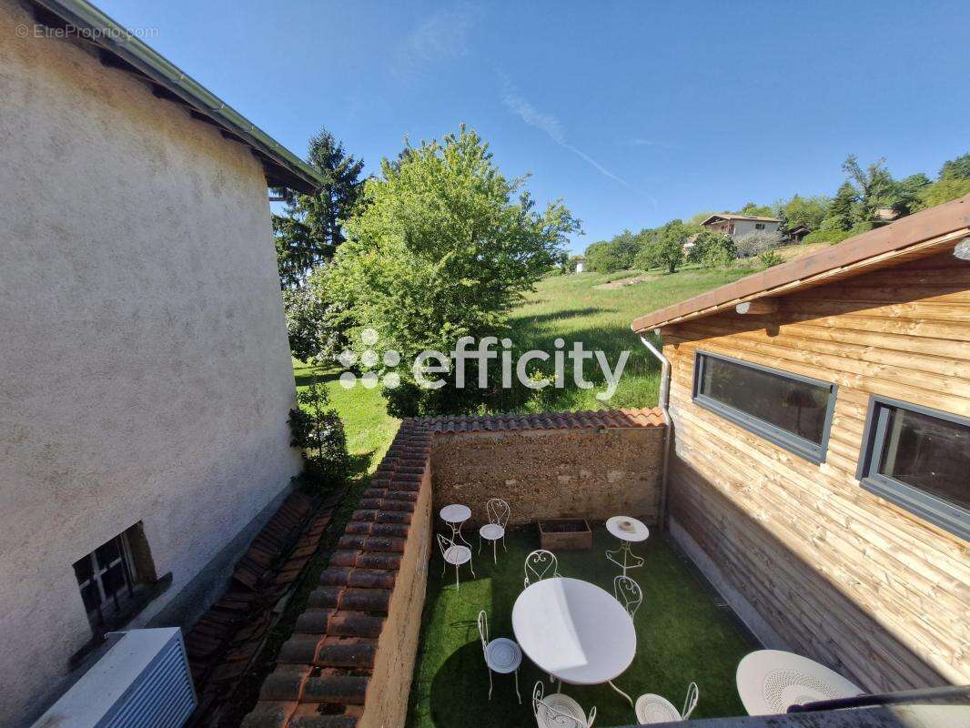 Maison 257 m² à Vernioz  - photo 12