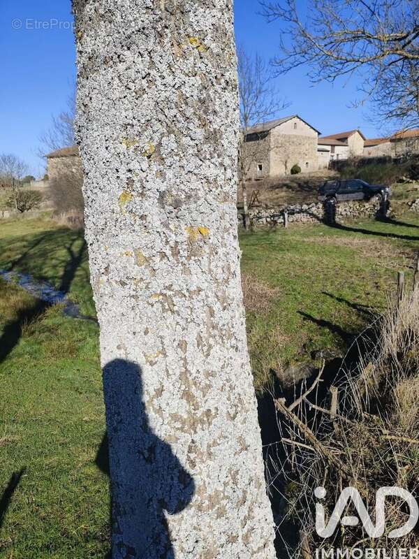 Photo 8 - Maison à CRAPONNE-SUR-ARZON