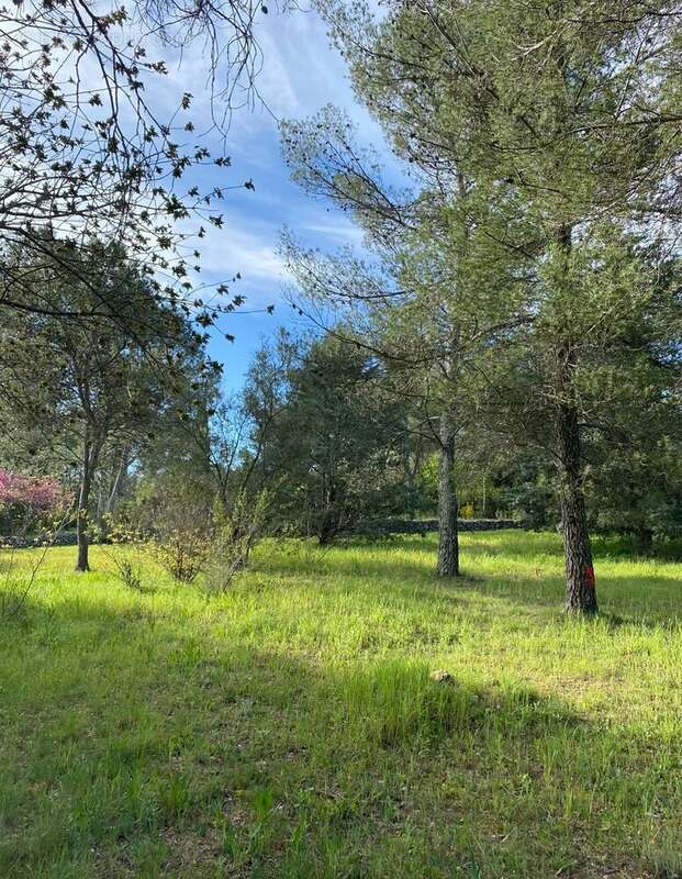 Terrain à MONTFERRIER-SUR-LEZ