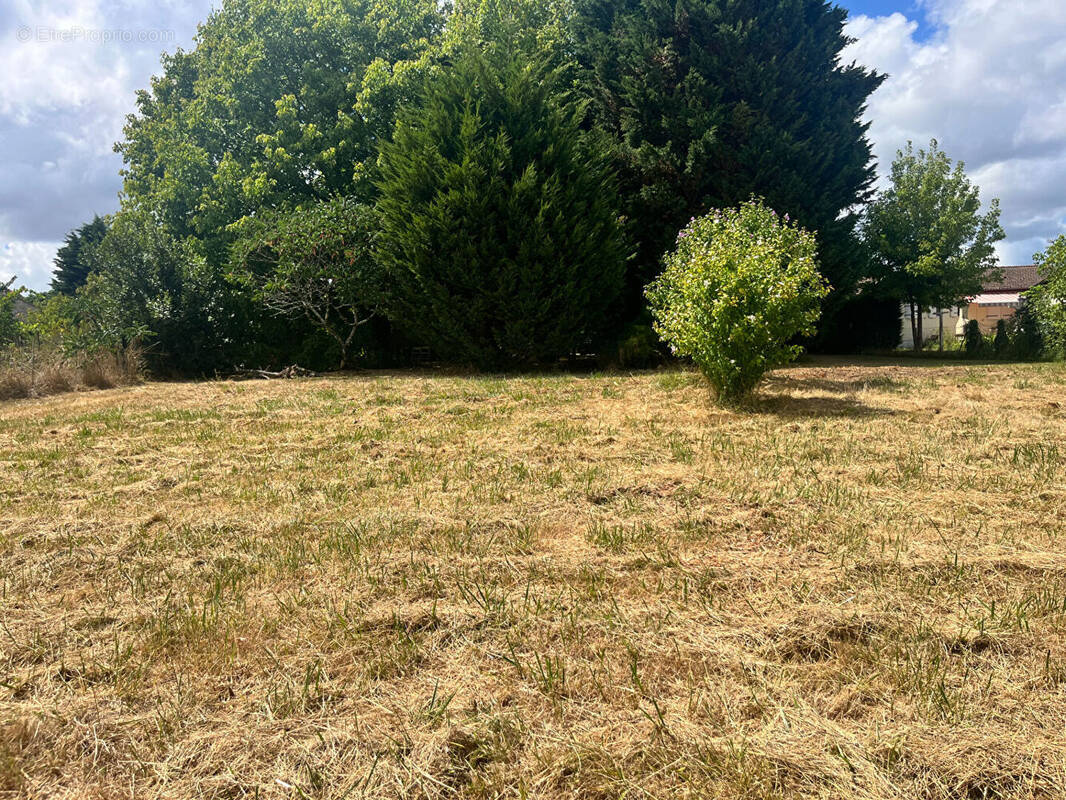 Terrain à PUGNAC