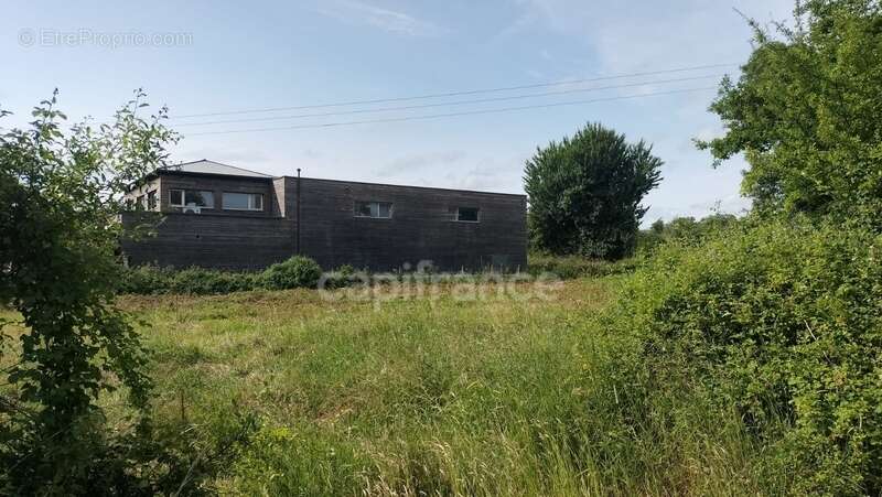 Terrain à SAINT-PERE