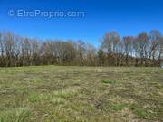 Terrain à LOULAY
