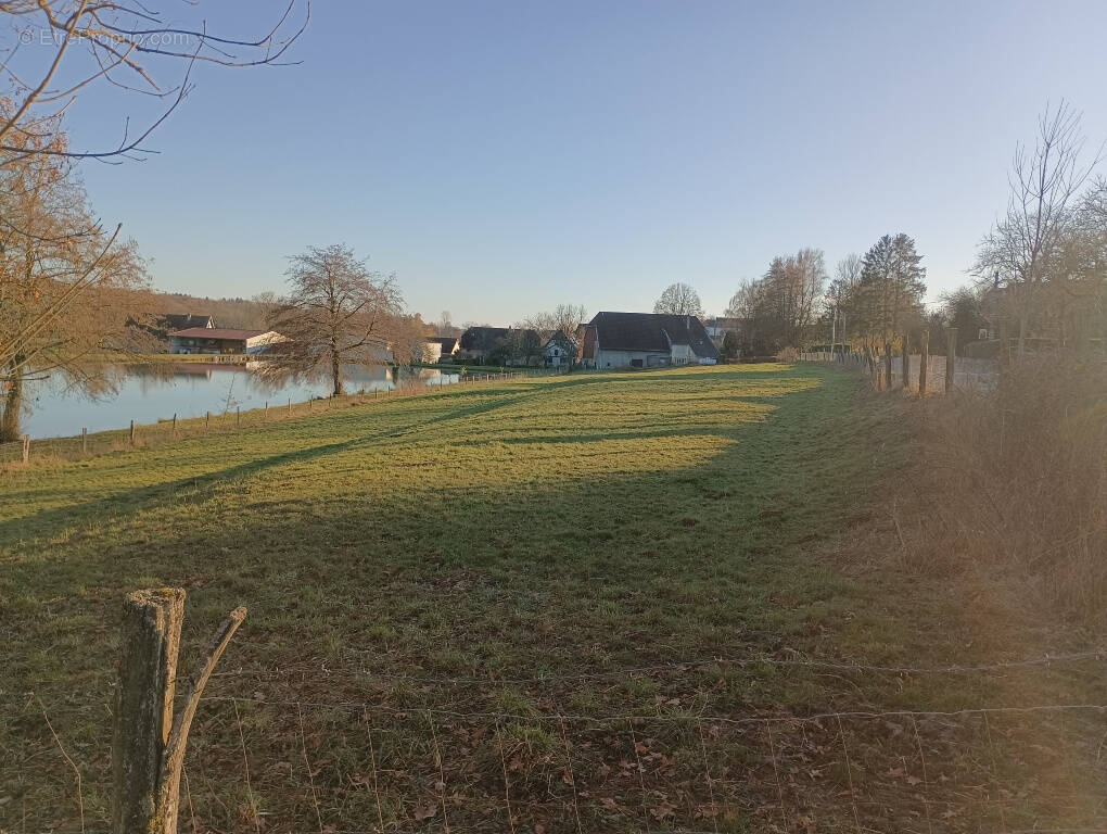 Terrain à ANGEOT