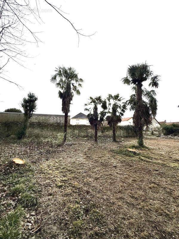 Terrain à SARCELLES