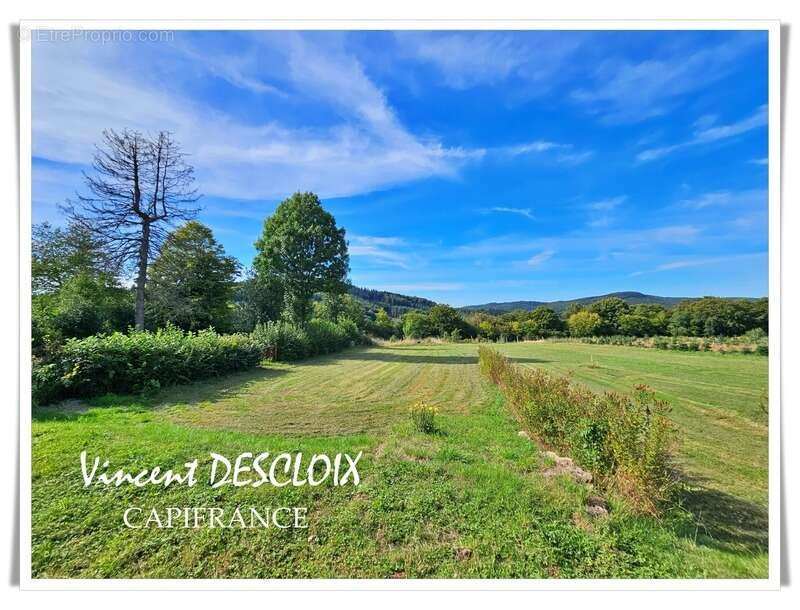 Maison à DUN-LES-PLACES