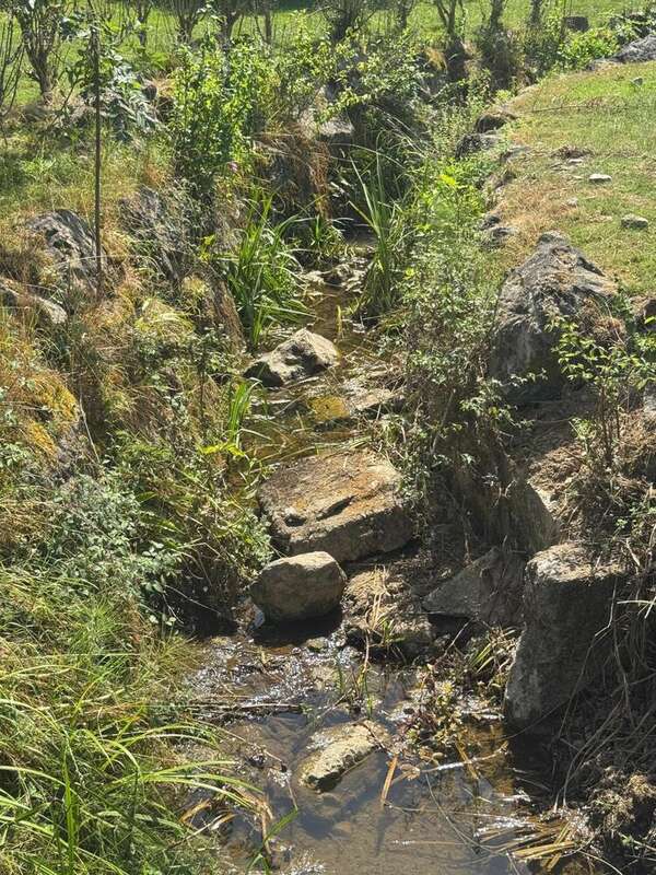 Photo 8 - Maison à OLORON-SAINTE-MARIE
