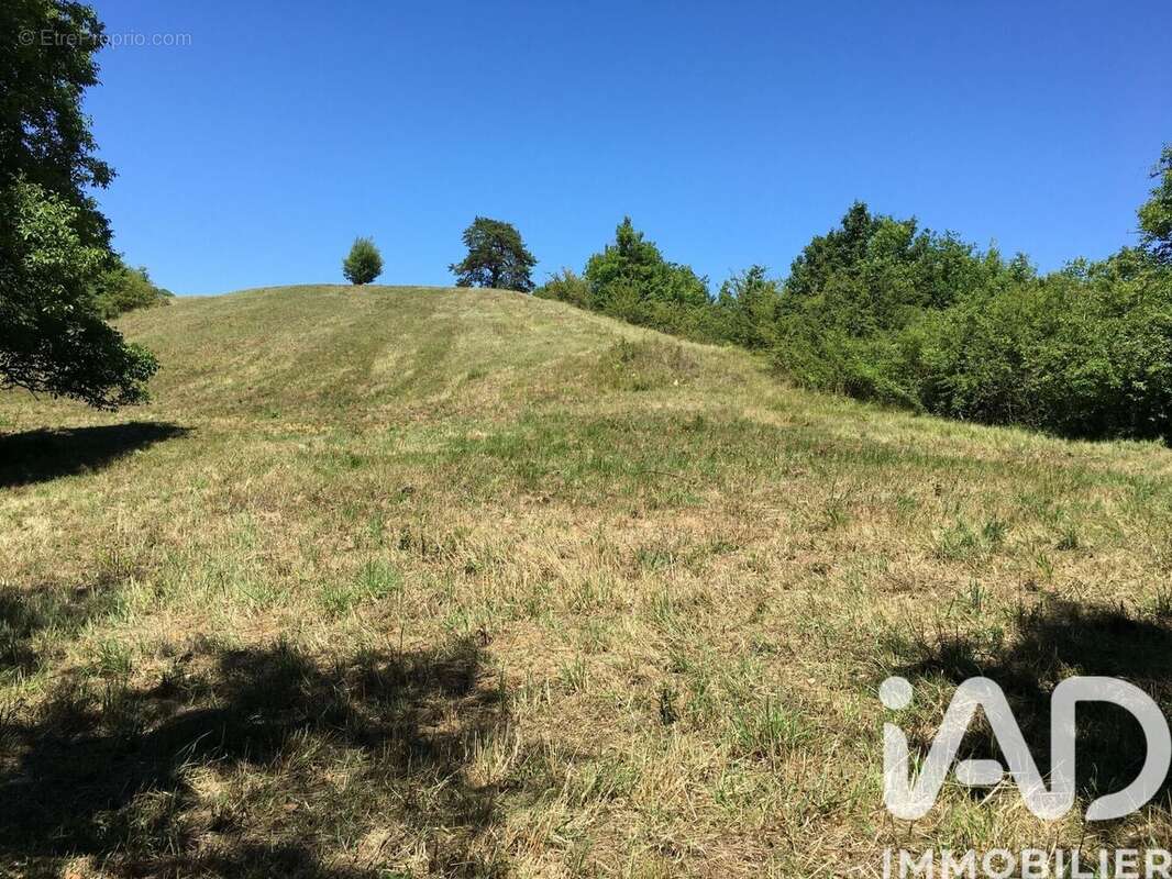 Photo 3 - Terrain à VIVONNE