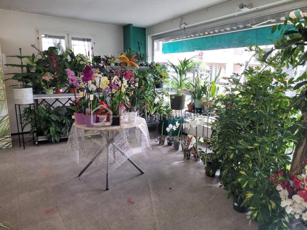 Commerce à MONTAUBAN