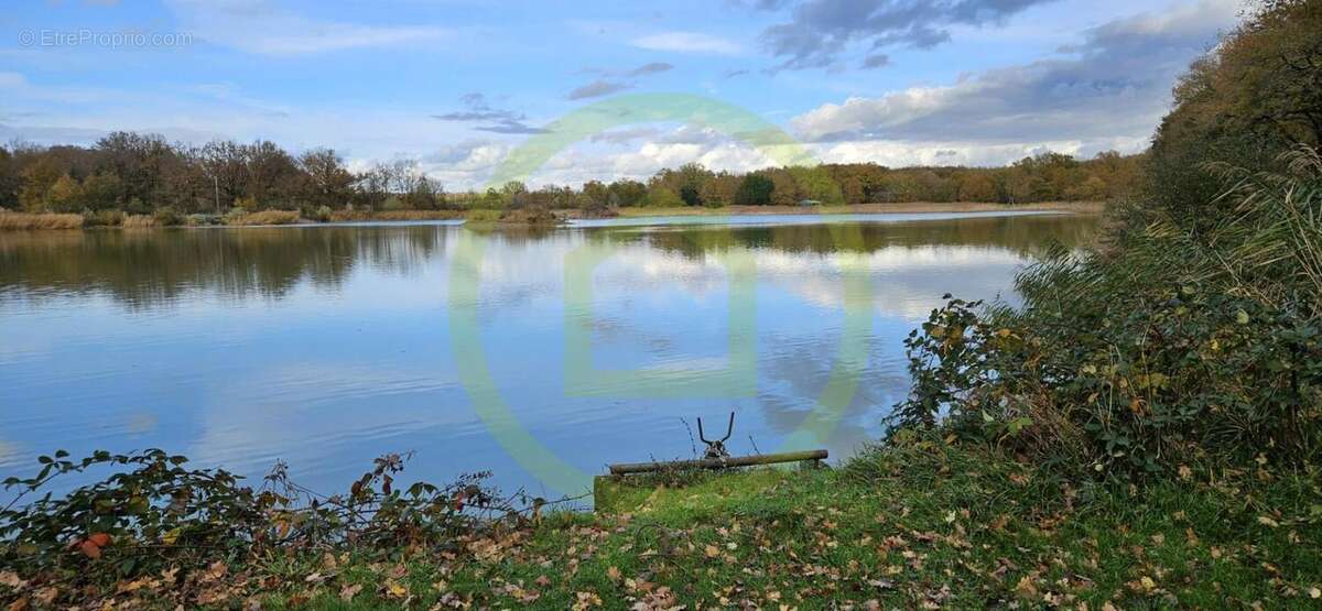 Terrain à MEZIERES-EN-BRENNE