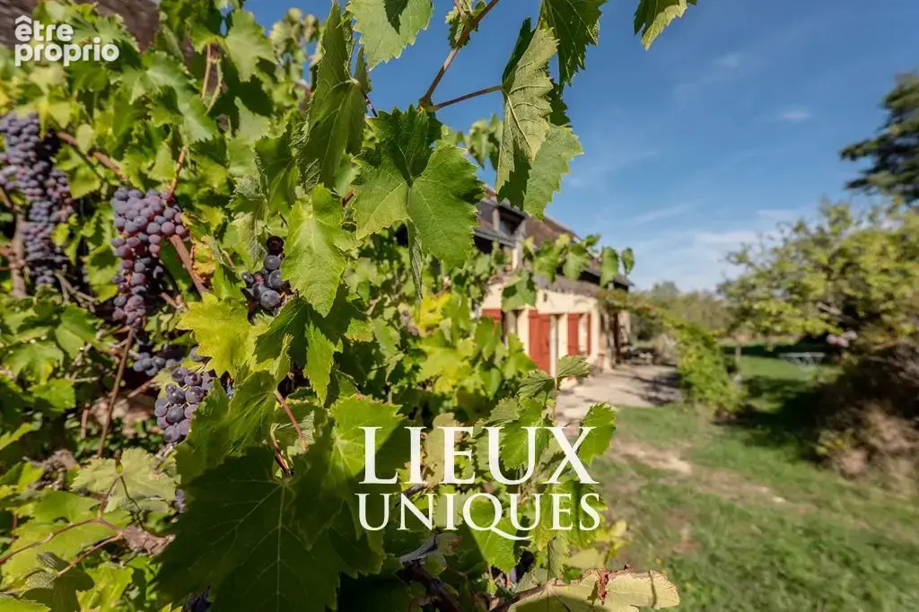 Lieux uniques ® x propriétés privées ® propose belle longère 202 m² sur un terrain de 9051 m² - boursay - photo 3