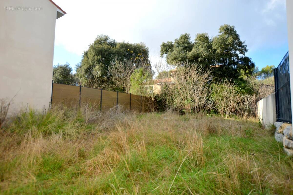 Terrain à CASTELNAU-LE-LEZ