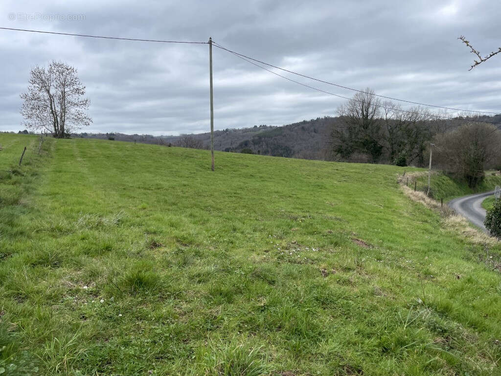 Entre Objat et Juillac, campagne - photo 7