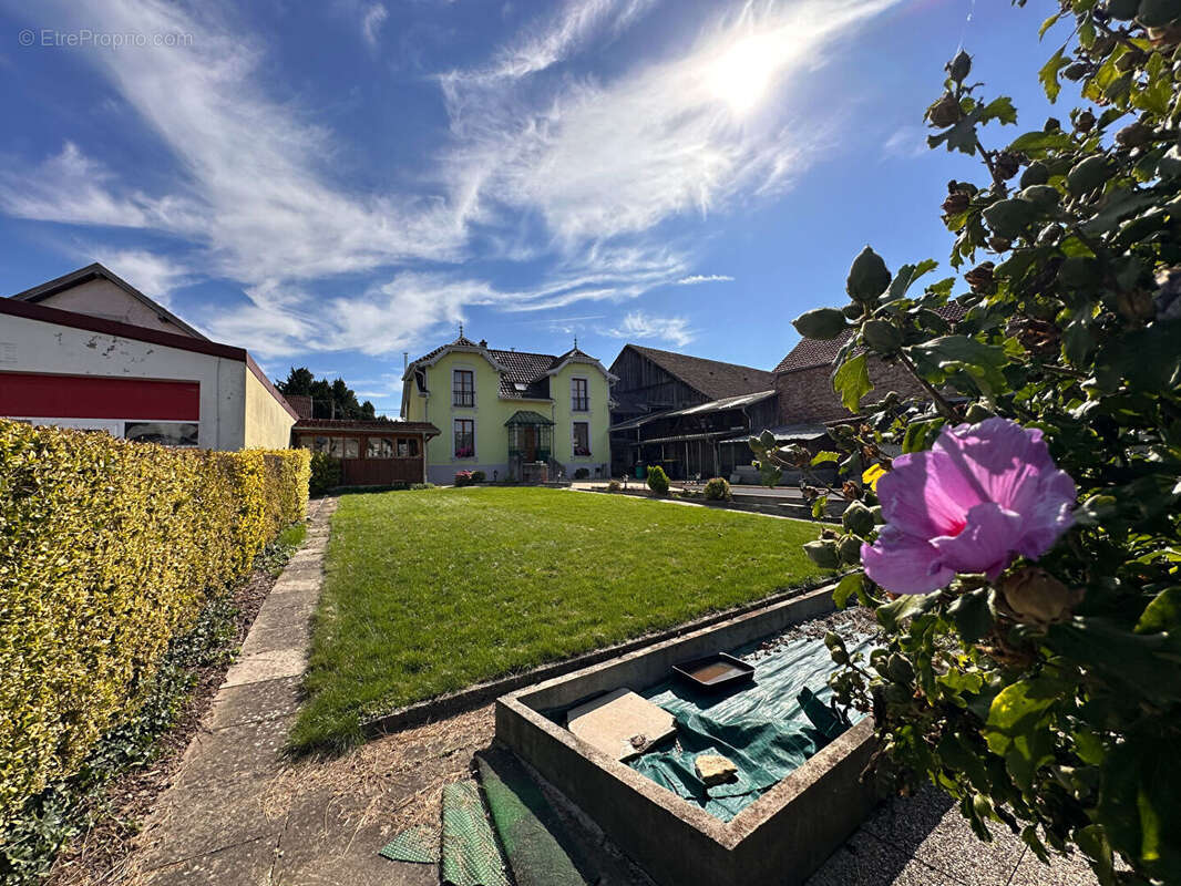 Maison à ZILLISHEIM