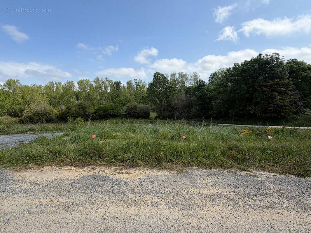 Terrain à VAUX-SUR-MER