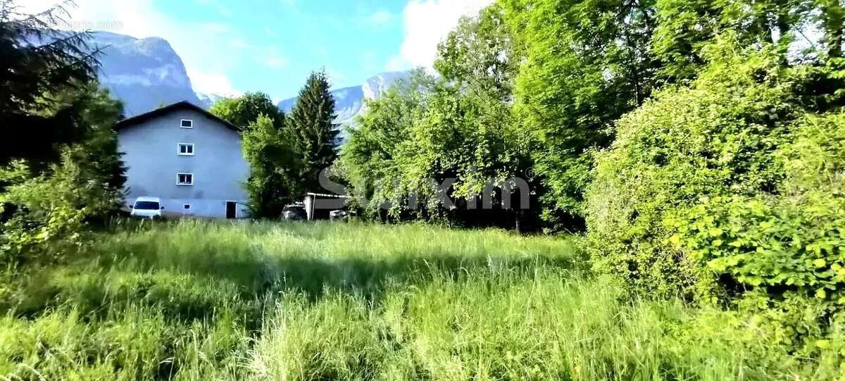 Terrain à SCIONZIER