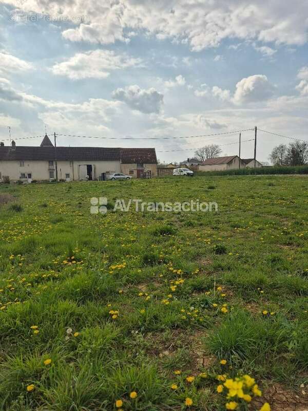 Terrain 997 m² à Mirebeau-Sur-Beze  - photo 4