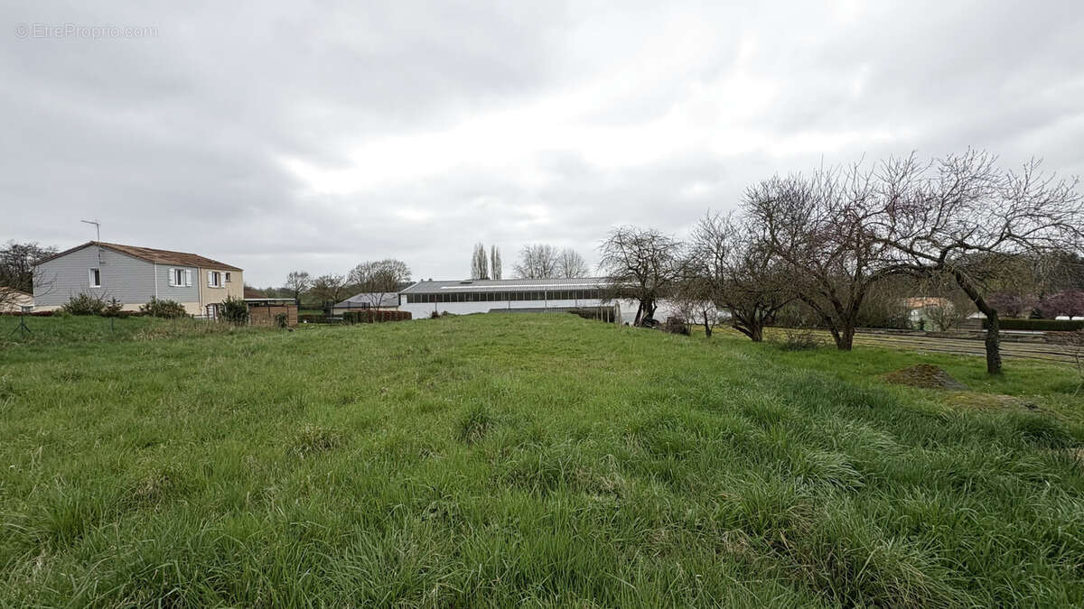 Terrain à bâtir en vente sur Chemillé-en-Anjou - Exclusivité AMP - photo 2