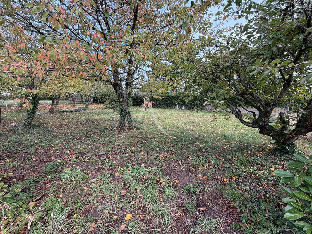 Terrain à BRISSAC-QUINCE