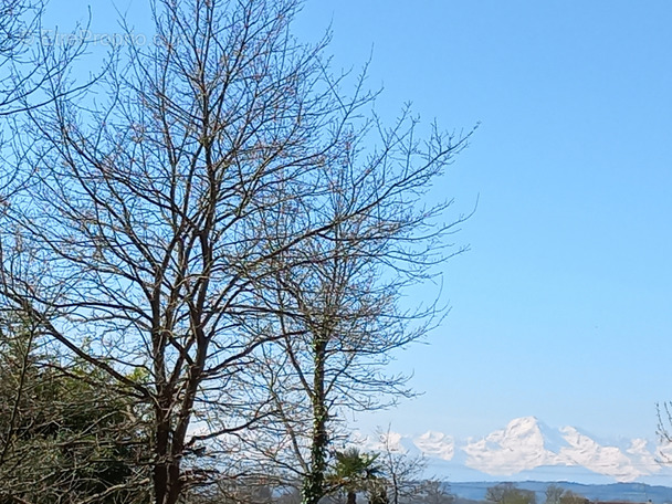 Terrain à TRIE-SUR-BAISE