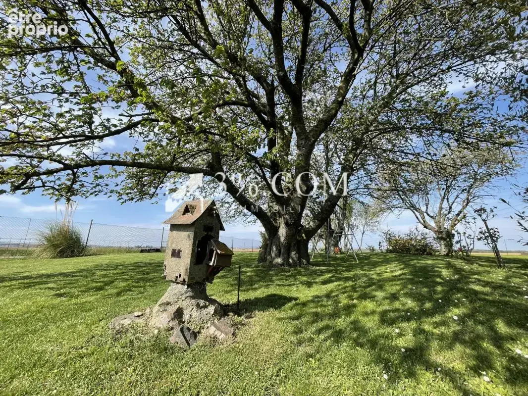 3%.COM - EXCLUSIVITÉ à BERSTETT, Terrain de loisir de 15,23 - photo 10