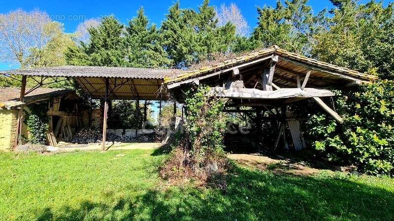 À vendre : Propriété à restaurer, à 10 mn d'Auvillar, d'environ 240 m2 habitables, sur terrain de 7400 m2  (82) - photo 19