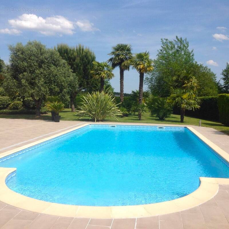 Photo-2025/030953-1-1 - Autre à MONT-DE-MARSAN