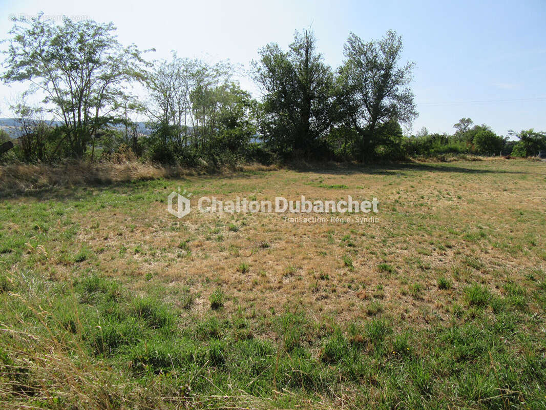 Terrain Pouilly Les Nonains 3000 m2 - photo 6