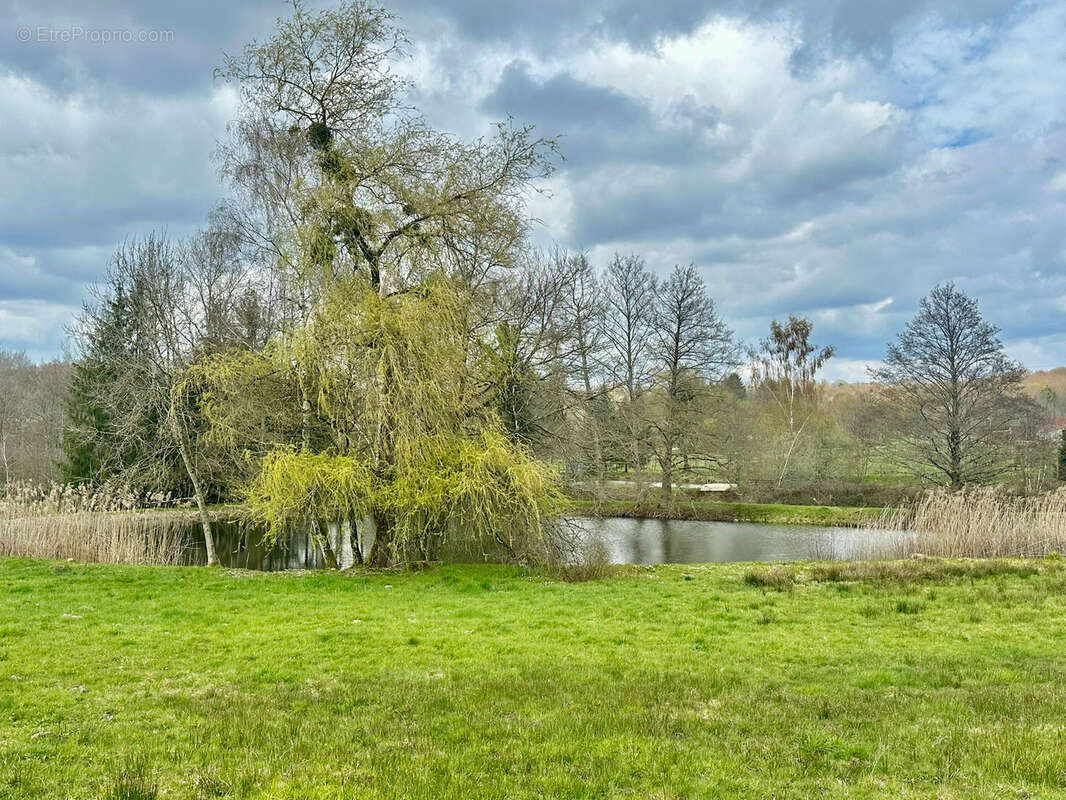 Terrain à RIGNOVELLE