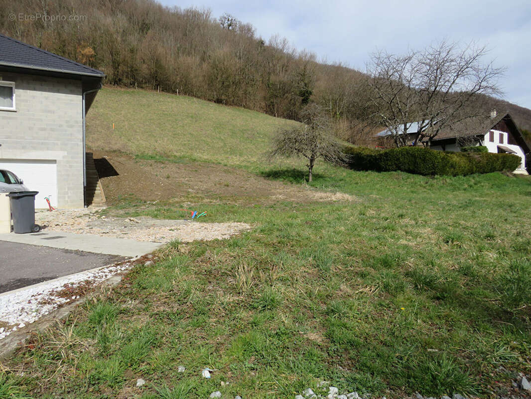 Terrain à LA TRINITE