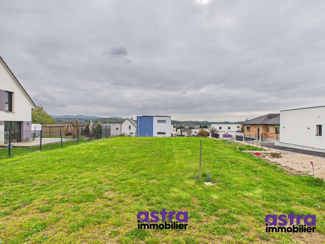 Terrain à WALDIGHOFEN