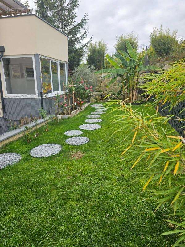 Appartement à MOMMENHEIM