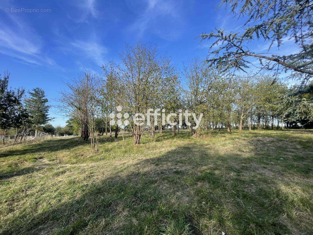 Maison à SAINT-AMADOU